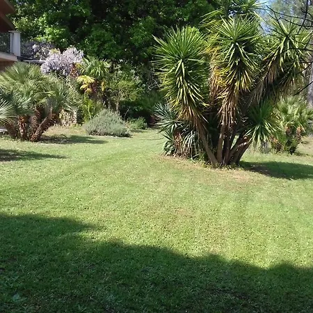 Domus Plantae Basico