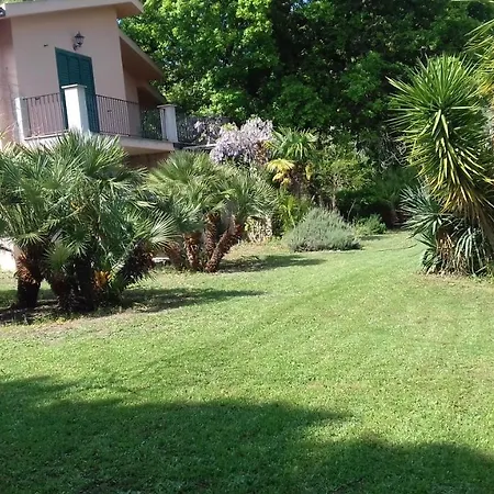 Domus Plantae Basico