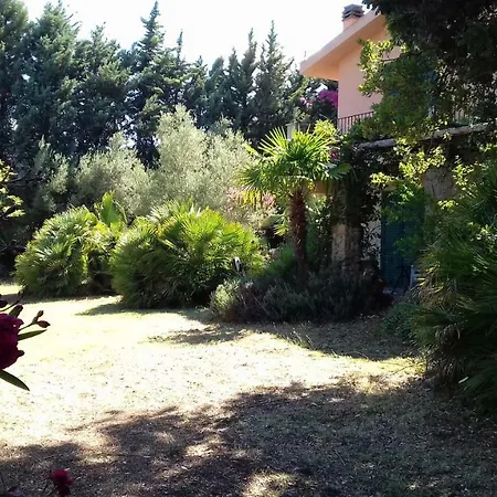 Domus Plantae Holiday home *