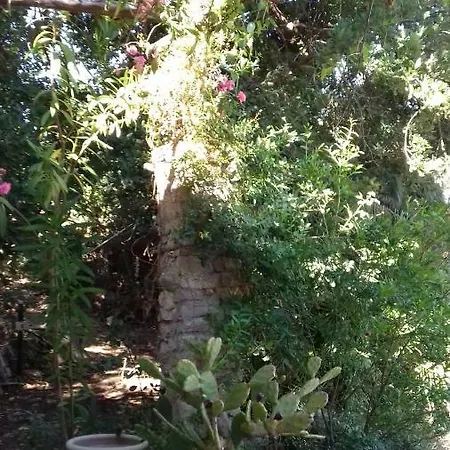 Domus Plantae Holiday home Basico