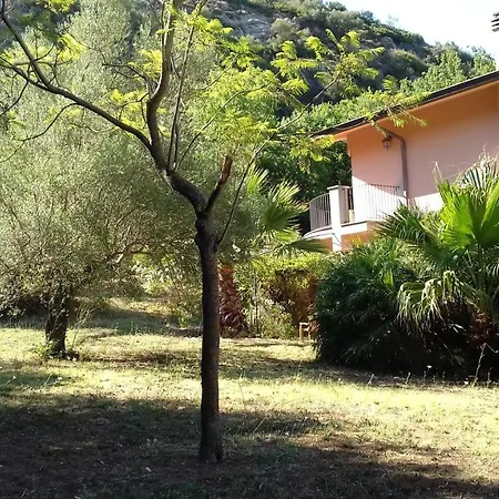 Domus Plantae