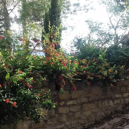 Holiday home Domus Plantae Basico