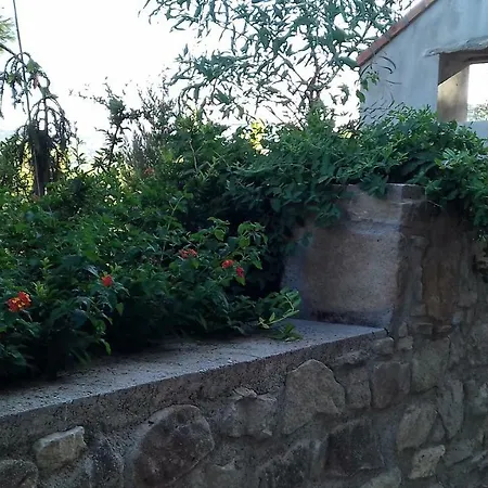 בית נופש Domus Plantae Basicò